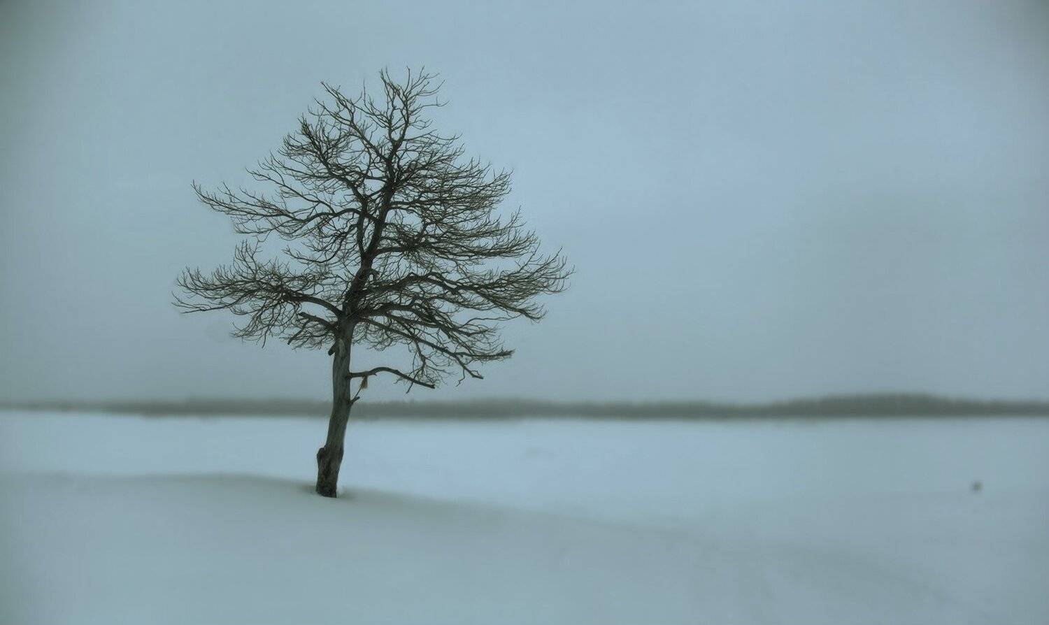 югра, Борис Полозков