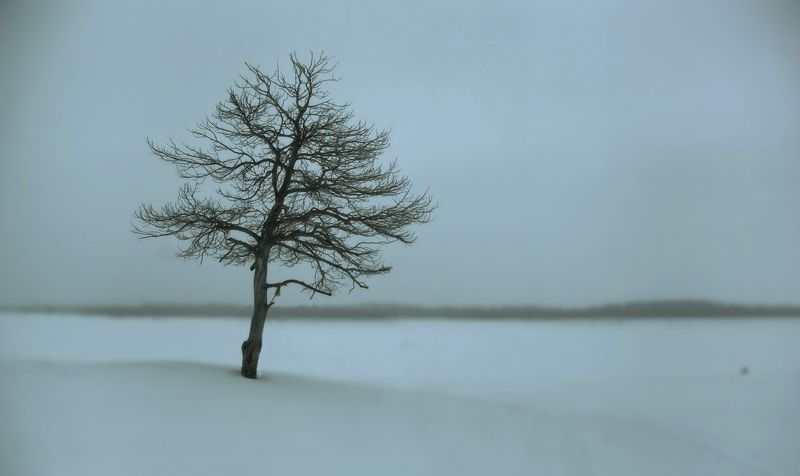 югра зимний минимализм фото превью