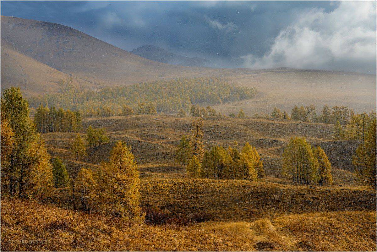 алтай, курайский, хребет, курайская, дельтадром, парадором, парадельтадром, осень, первый снег, Кутыгин Эдуард