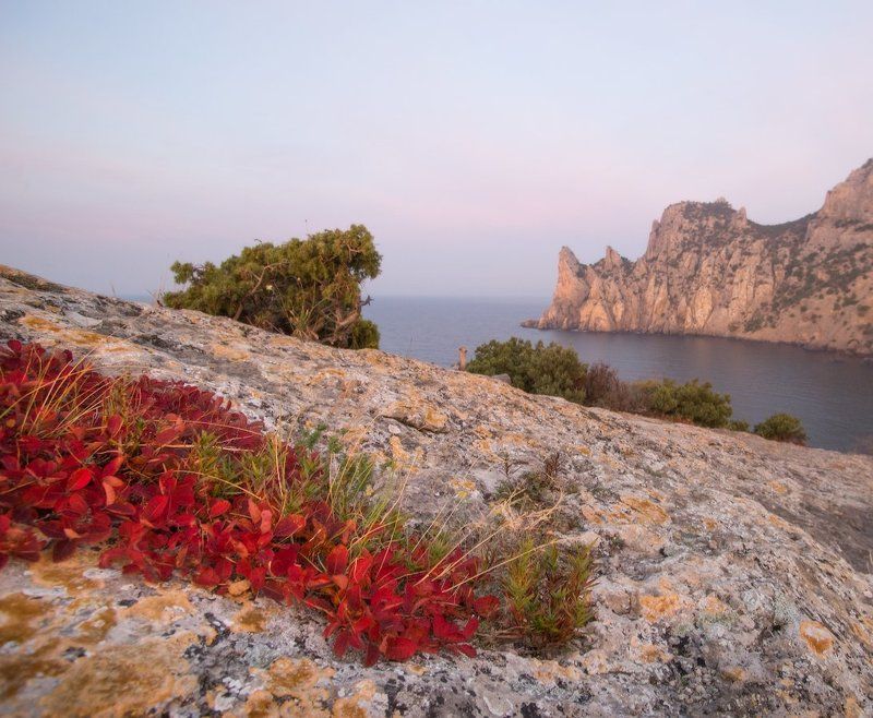 крым, море, горы, свет, закат, рассвет, природа, осень Этюд со скумпией фото превью