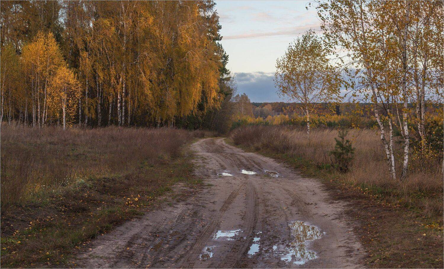 , Николай Шахманцир