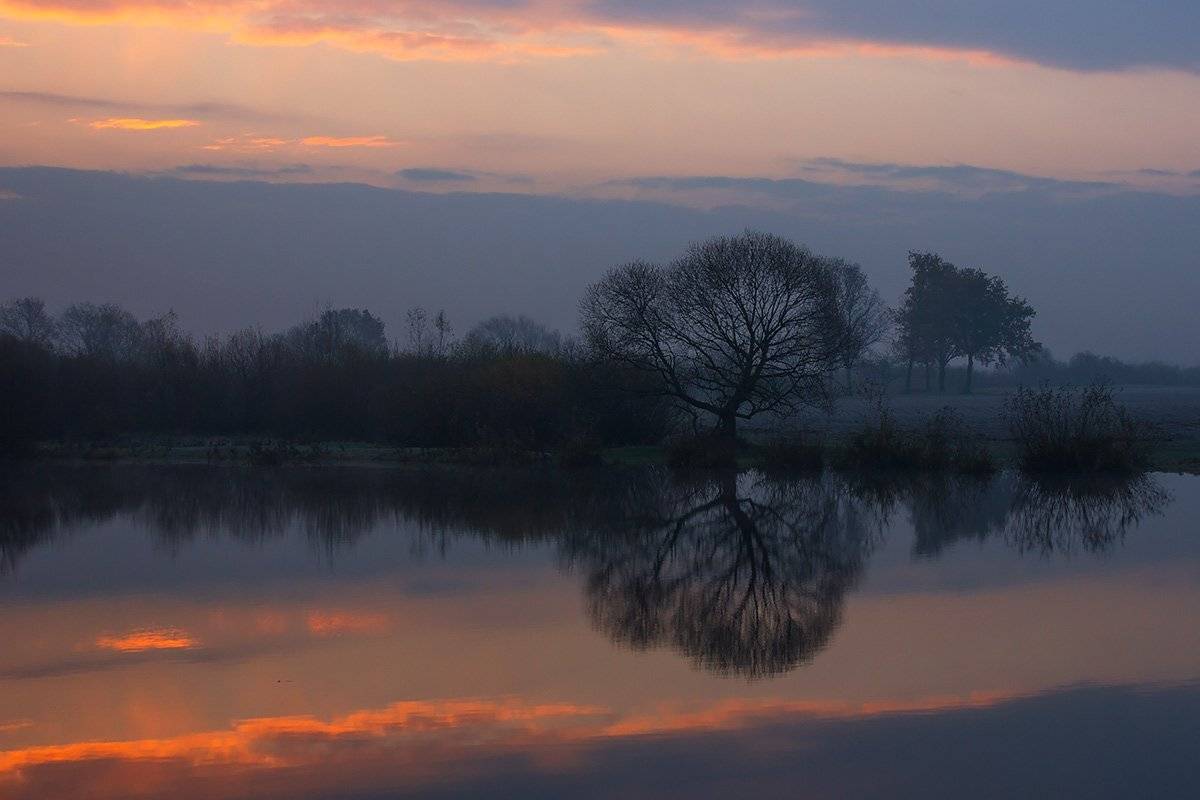 , Pawel Plucinski