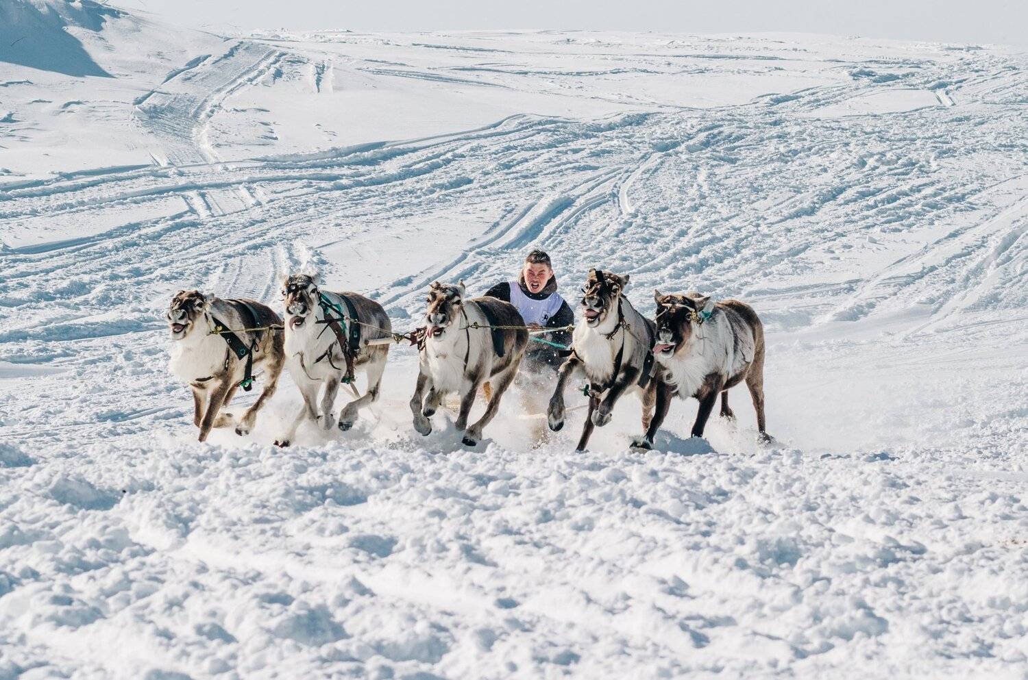 ямал , сибирь, природа , полярный урал, Настя Братка