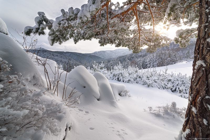 Ноябрь фото превью