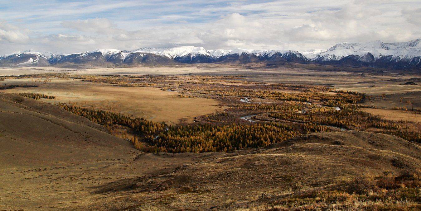 , Дмитрий Д.