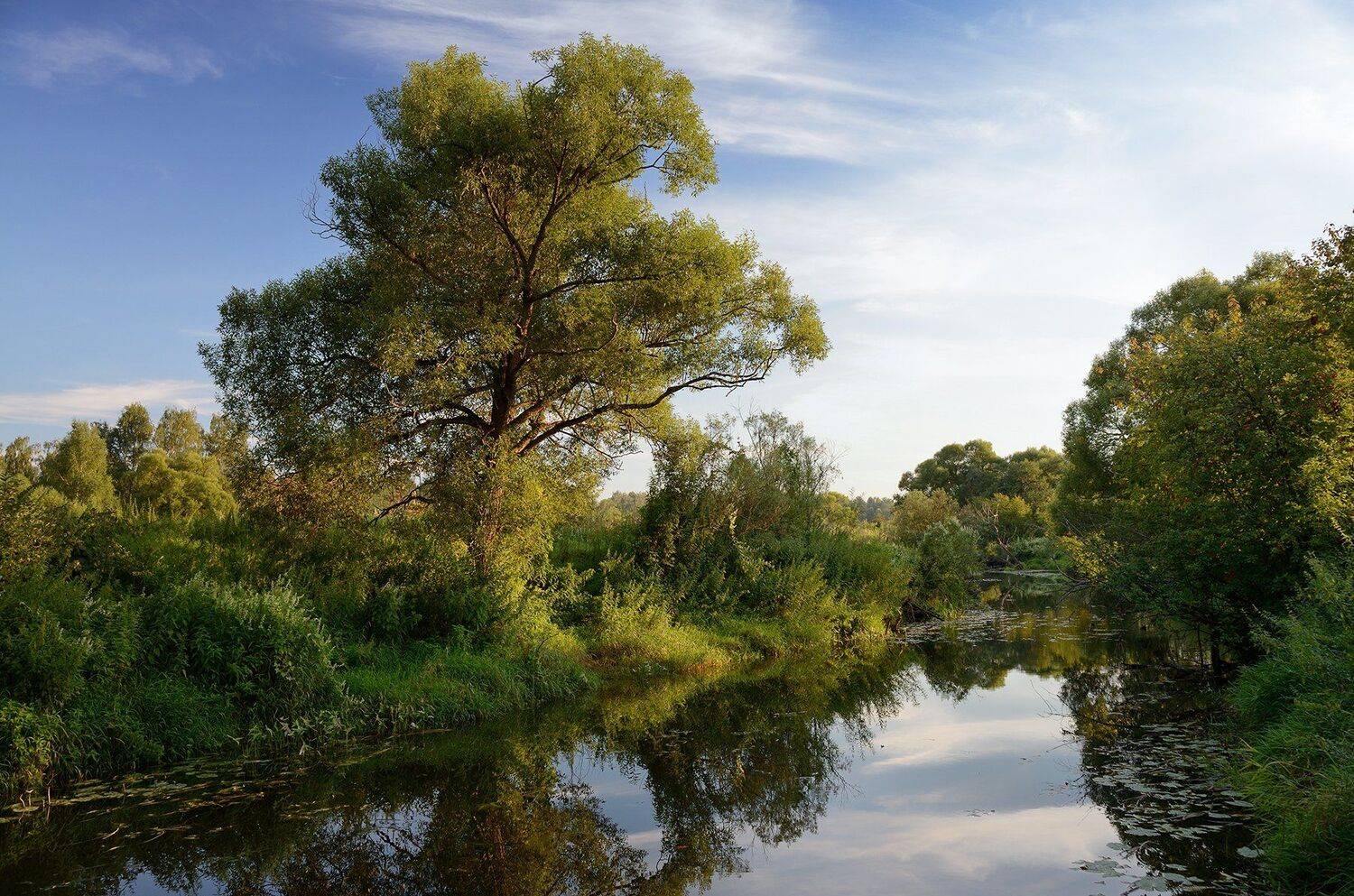 река, пахра, Olga N.