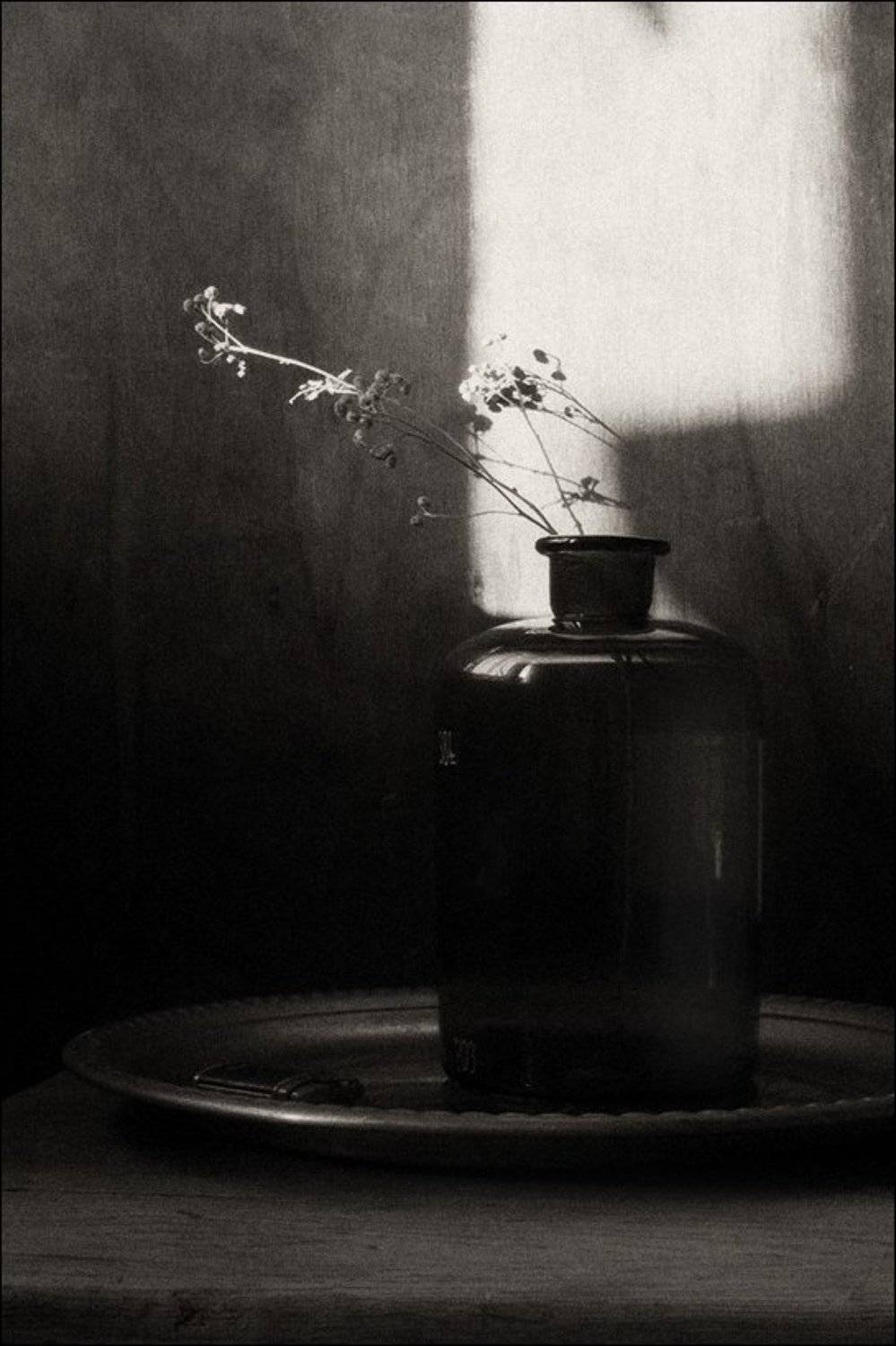 , Олег Вахник