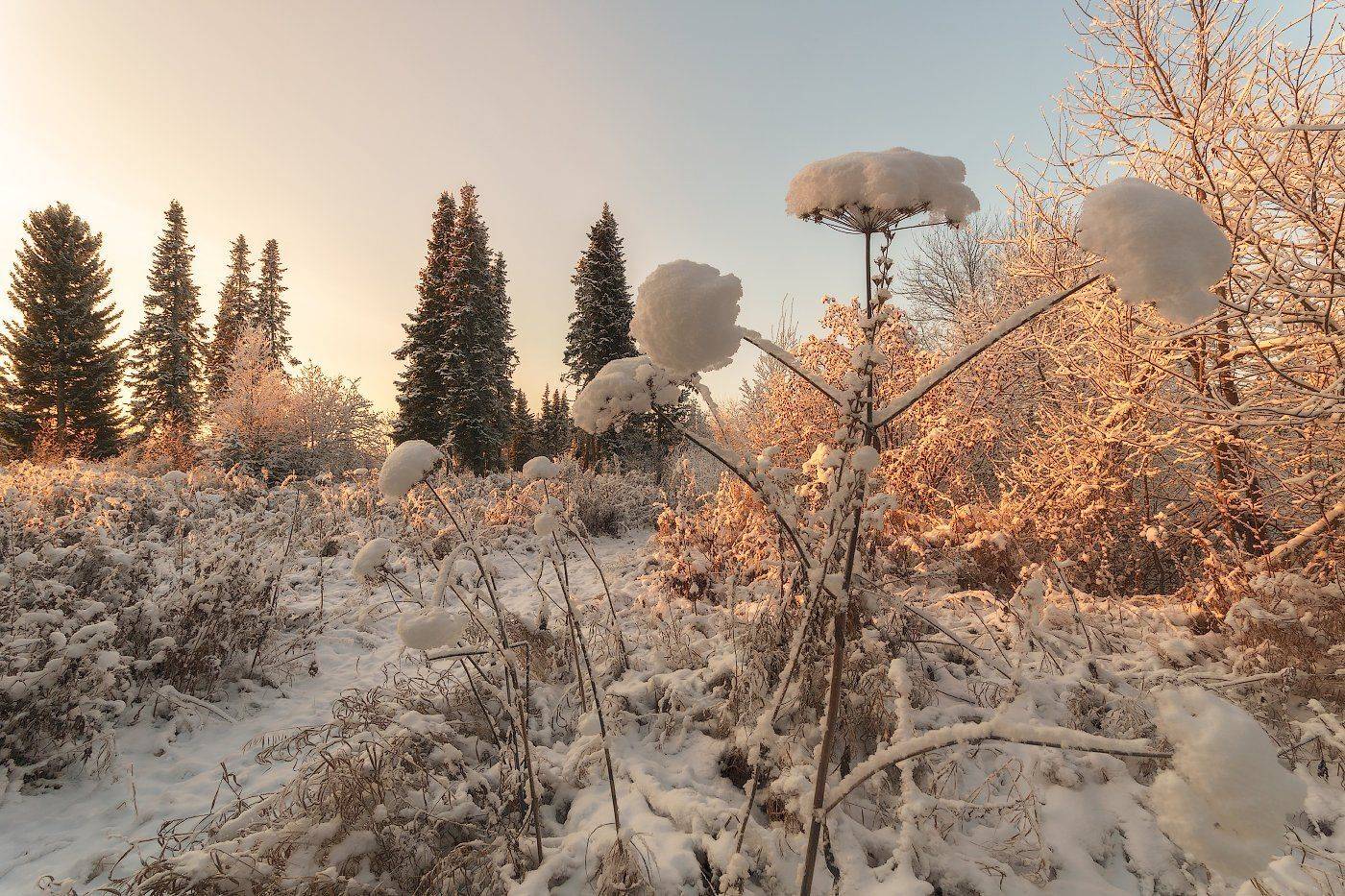 печора,коми,север,ноябрь,снег, Игорь Подобаев