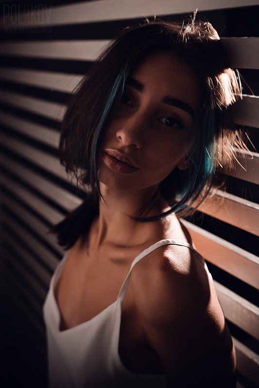 Влада фото превью