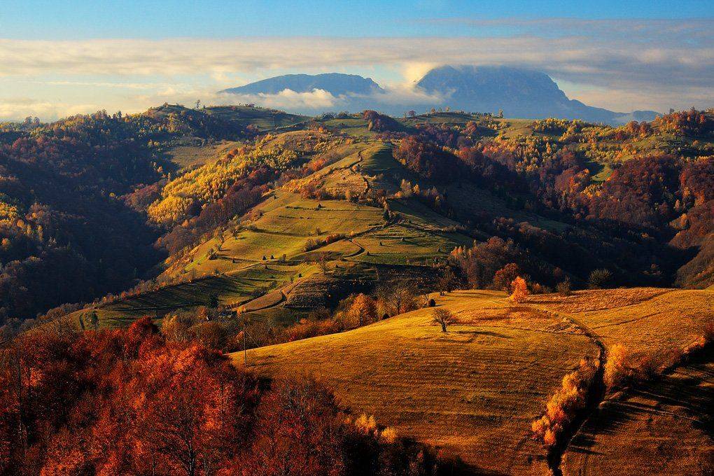 , Stefan Chirobocea