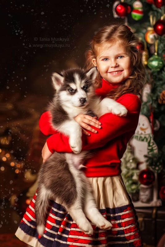 Перед рождеством фото превью