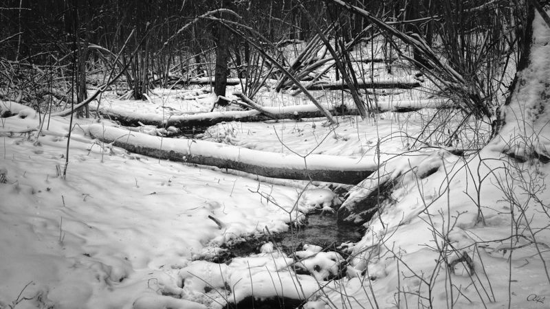 Вниз по течению... фото превью