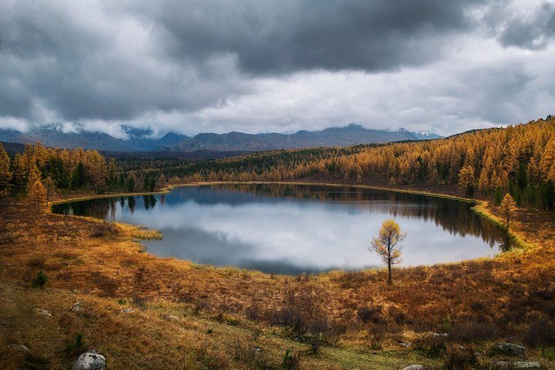 История трёх кадров фото превью