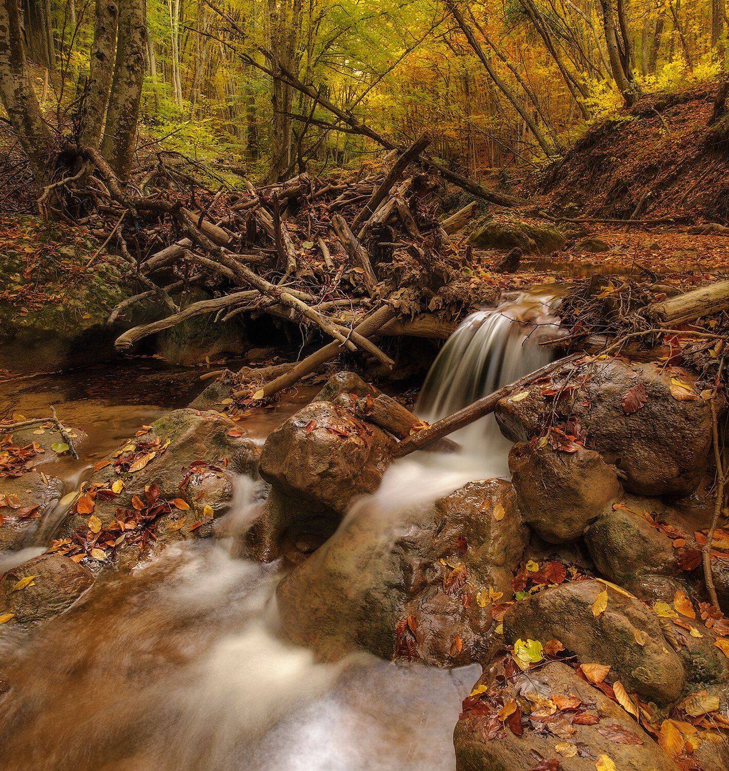 река. осень. лес. пейзаж. nikon., Кушнир Дмитрий
