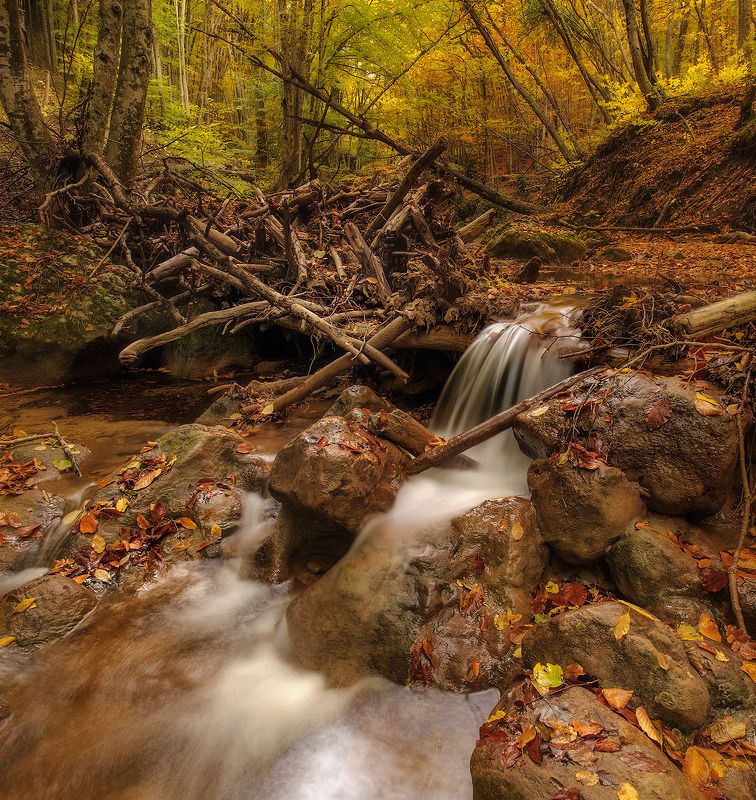 река. осень. лес. пейзаж. nikon. Осень в большом каньоне Крыма 2016г. фото превью