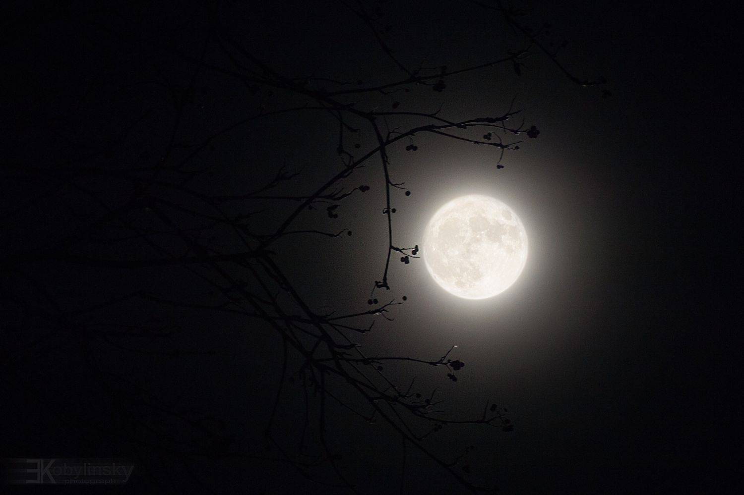 , Yevhen Kobylinskyi