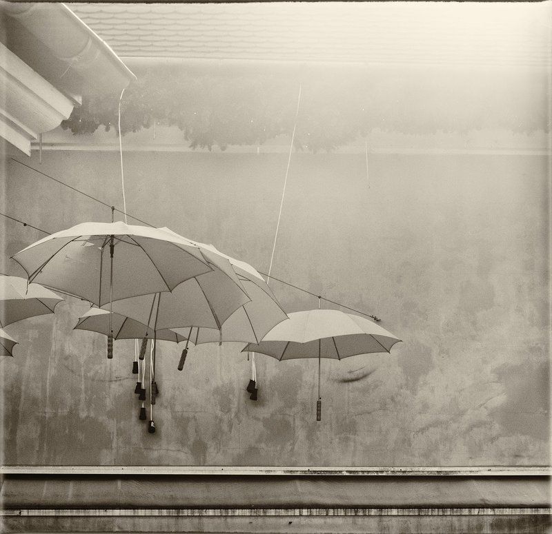 When You Want The Sky фото превью