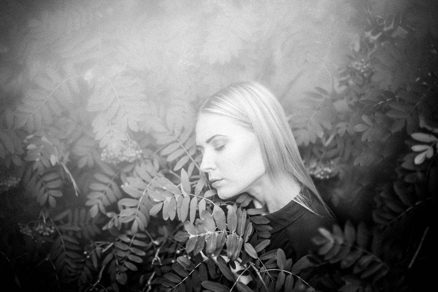 , Eimis &Scaron;er&scaron;niovas