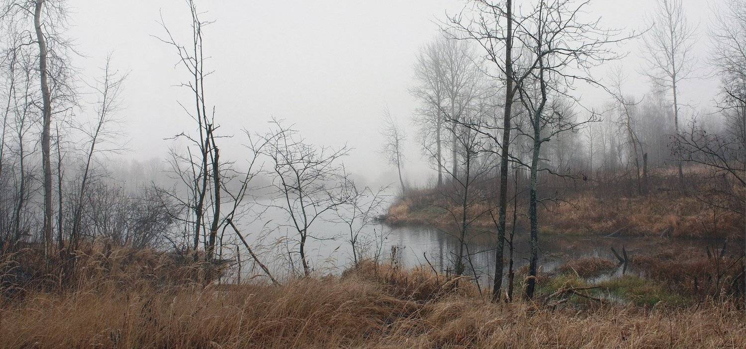 осень, туман , ноябрь, Свистков Александр