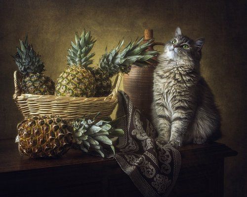 Какие большие шишки!