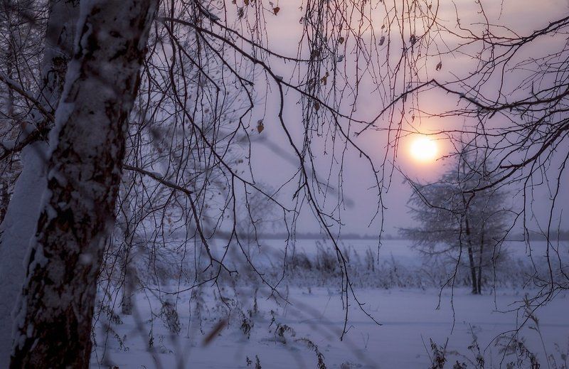 Утро нового дня ... фото превью
