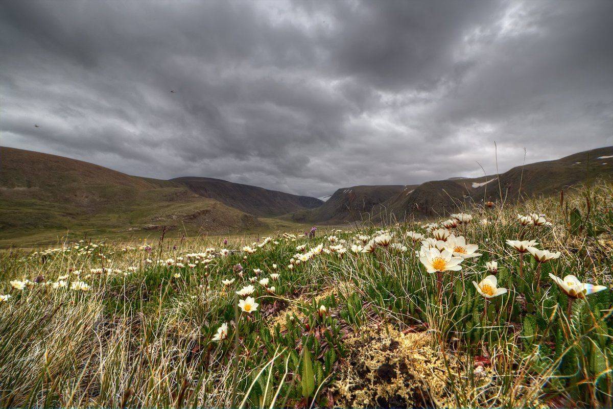 , Сергей Кузнецов