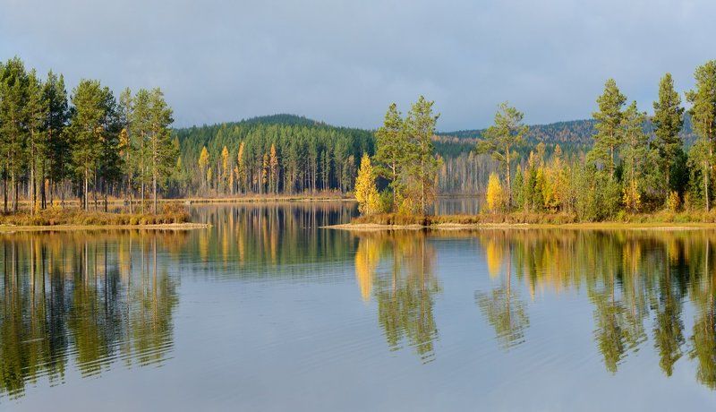 осень вода лес отражения туча Осень 2016. фото превью