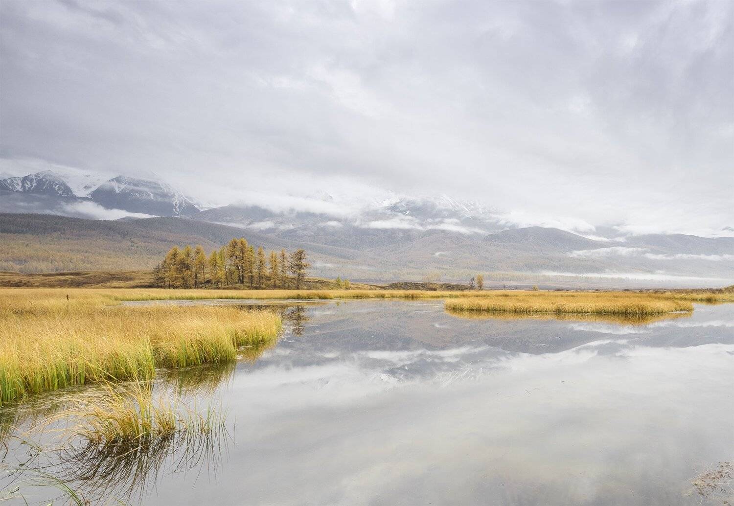 , Лещёнок Александр