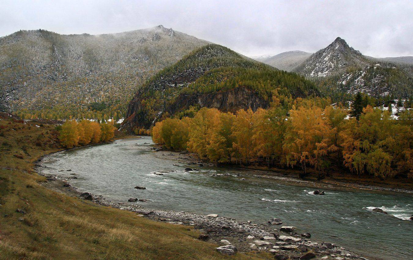 , Дмитрий Д.