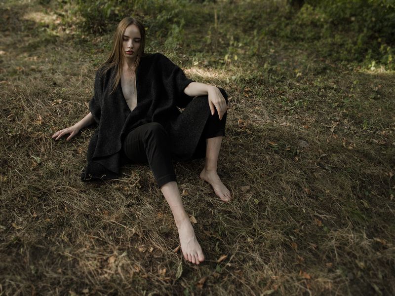 Forest фото превью