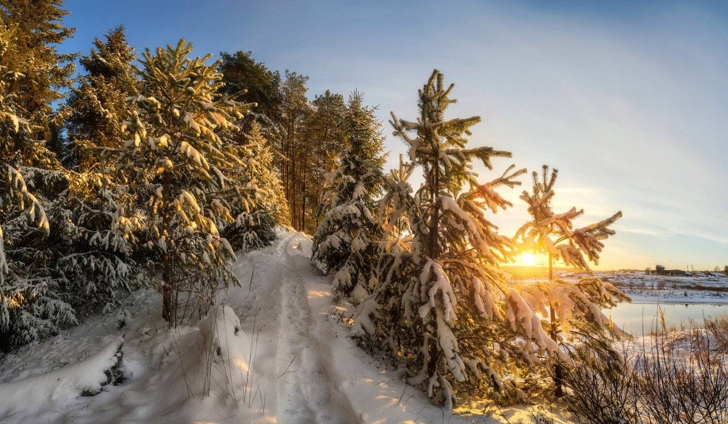 , Устюжанин Михаил