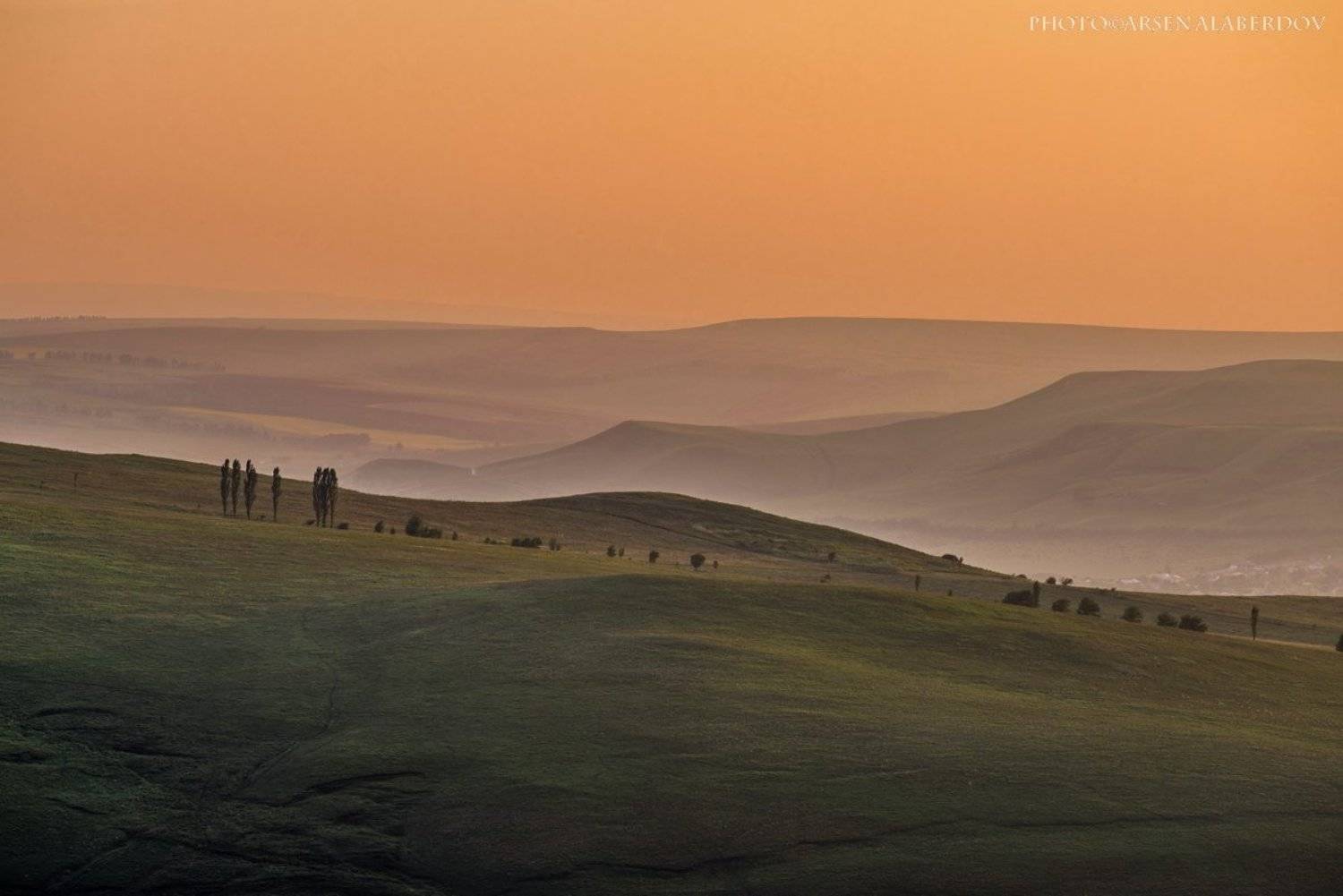 , Арсен Алабердов