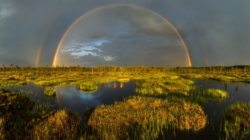 Радуга на болоте. фото превью