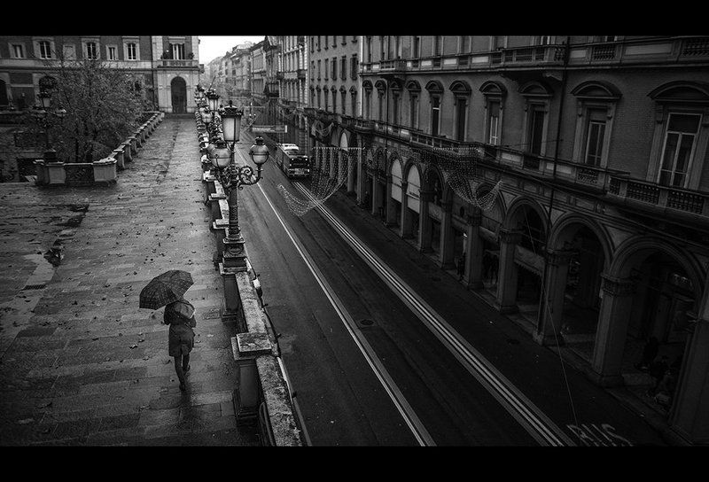 In the rain фото превью