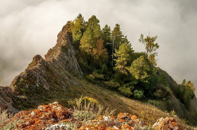 Солнечные склоны. фото превью