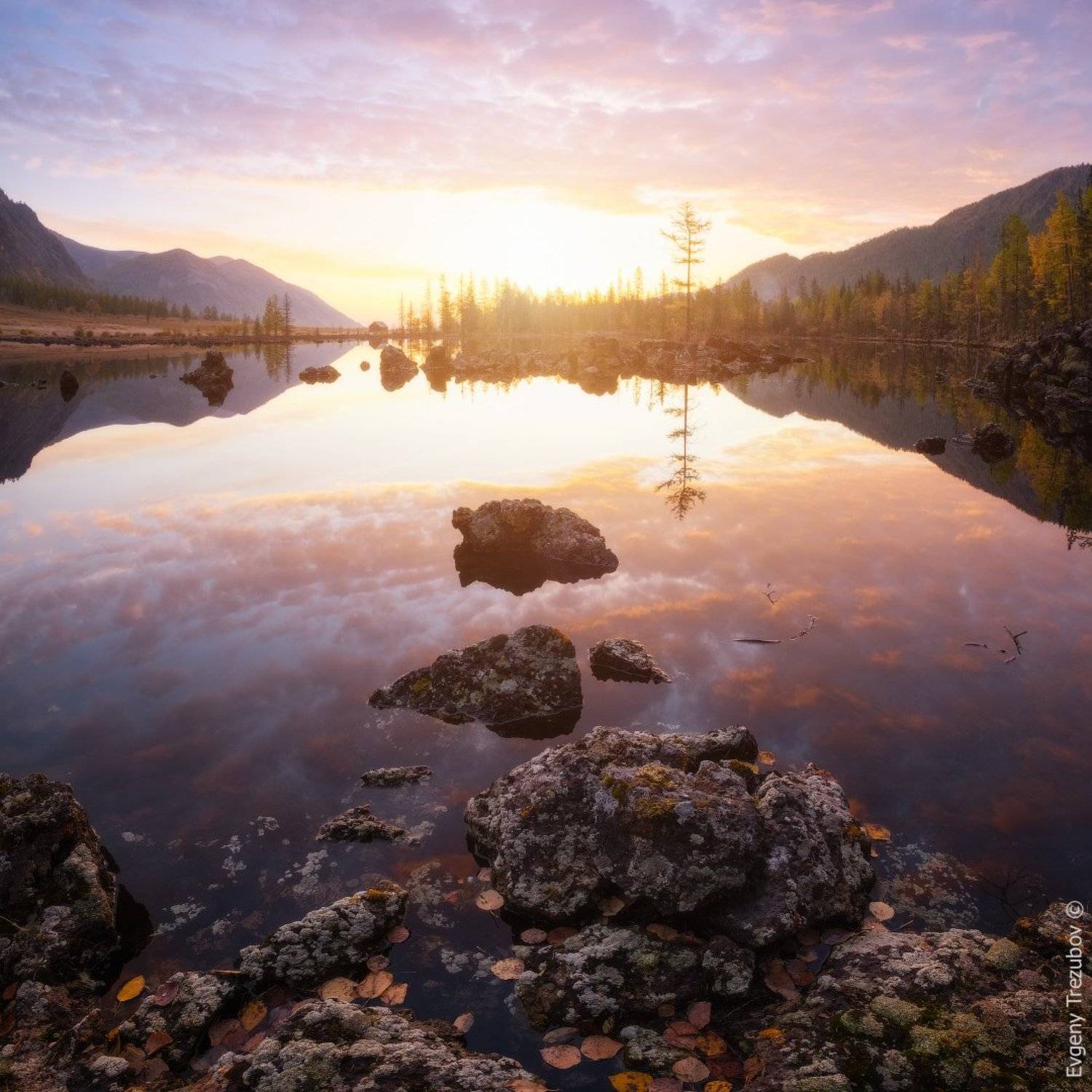 бурятия, рассвет, листья, мох, лишайник, камни, лес, осень, Евгений Трезубов