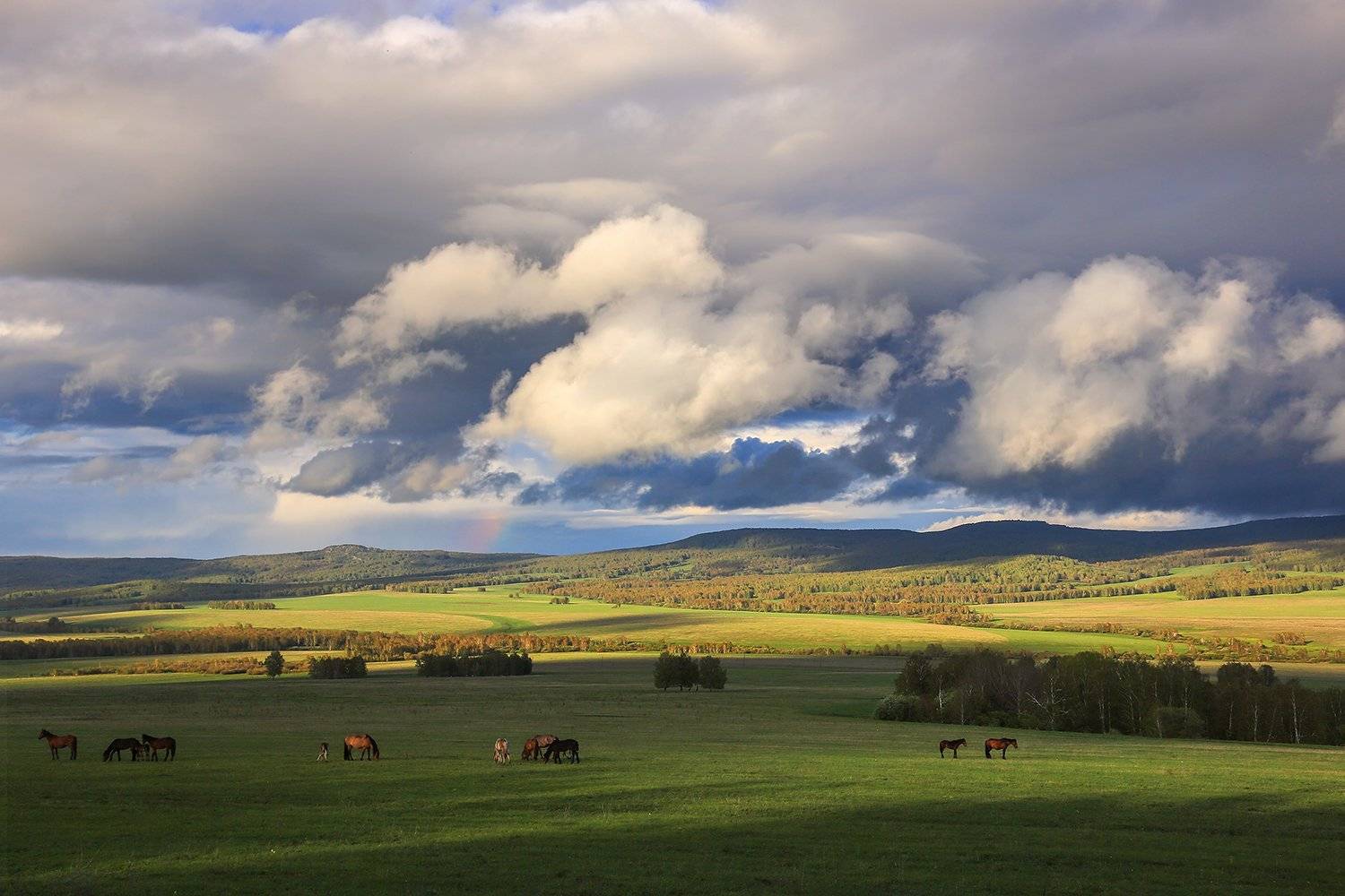 , Александр Сысуев
