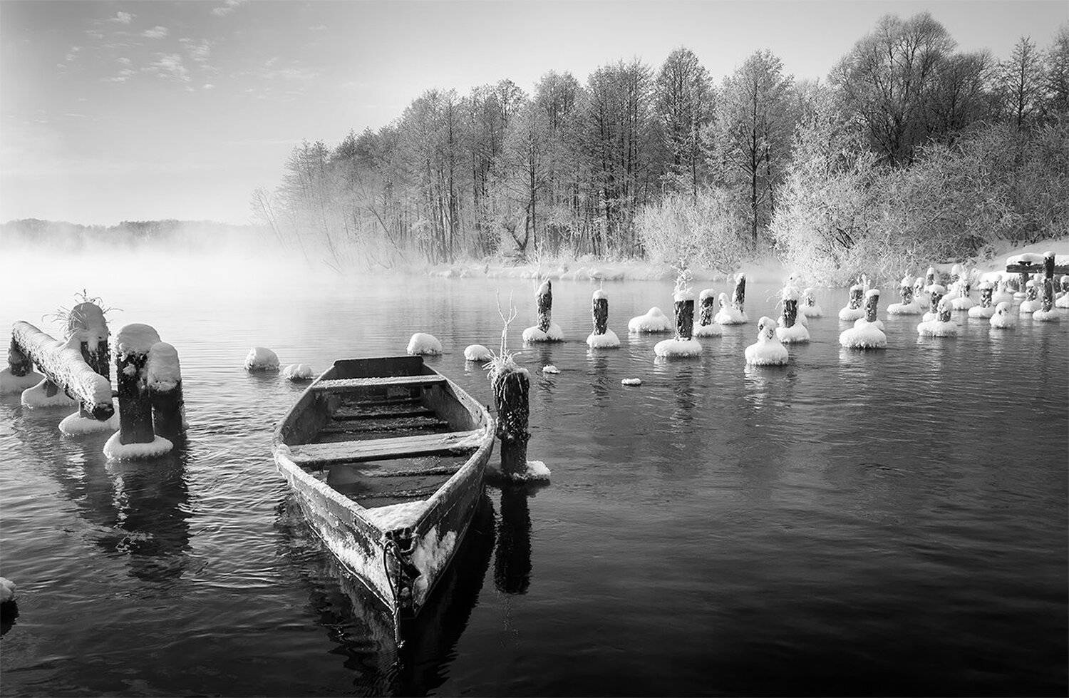 , Анатолий Зверев