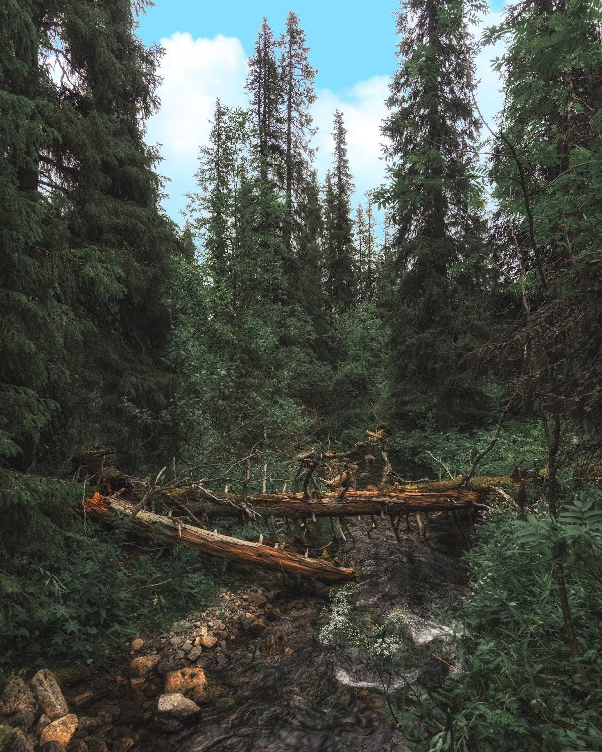 , Сергей Лукашенко