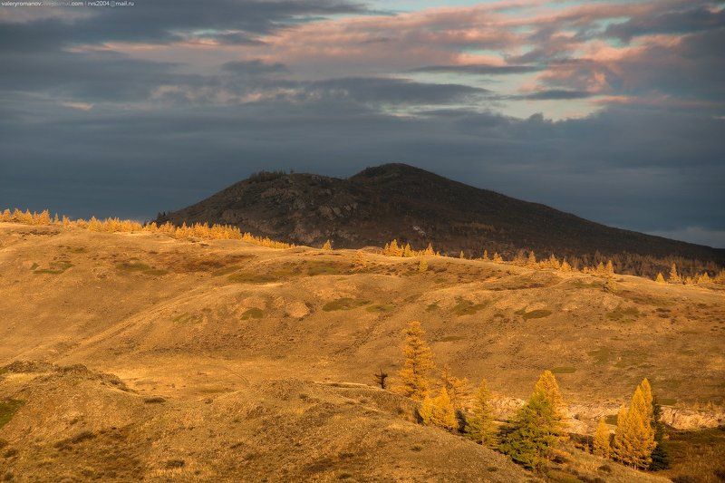 долина, чуя, алтай, россия, река, холмы, рассвет, солнце, желтый, синий, небо, облака, холм, лиственница, дерево, деревья  Рассвет в Курайской степи фото превью