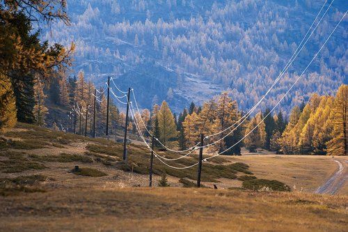 Pro утренние ритмы Джазатора