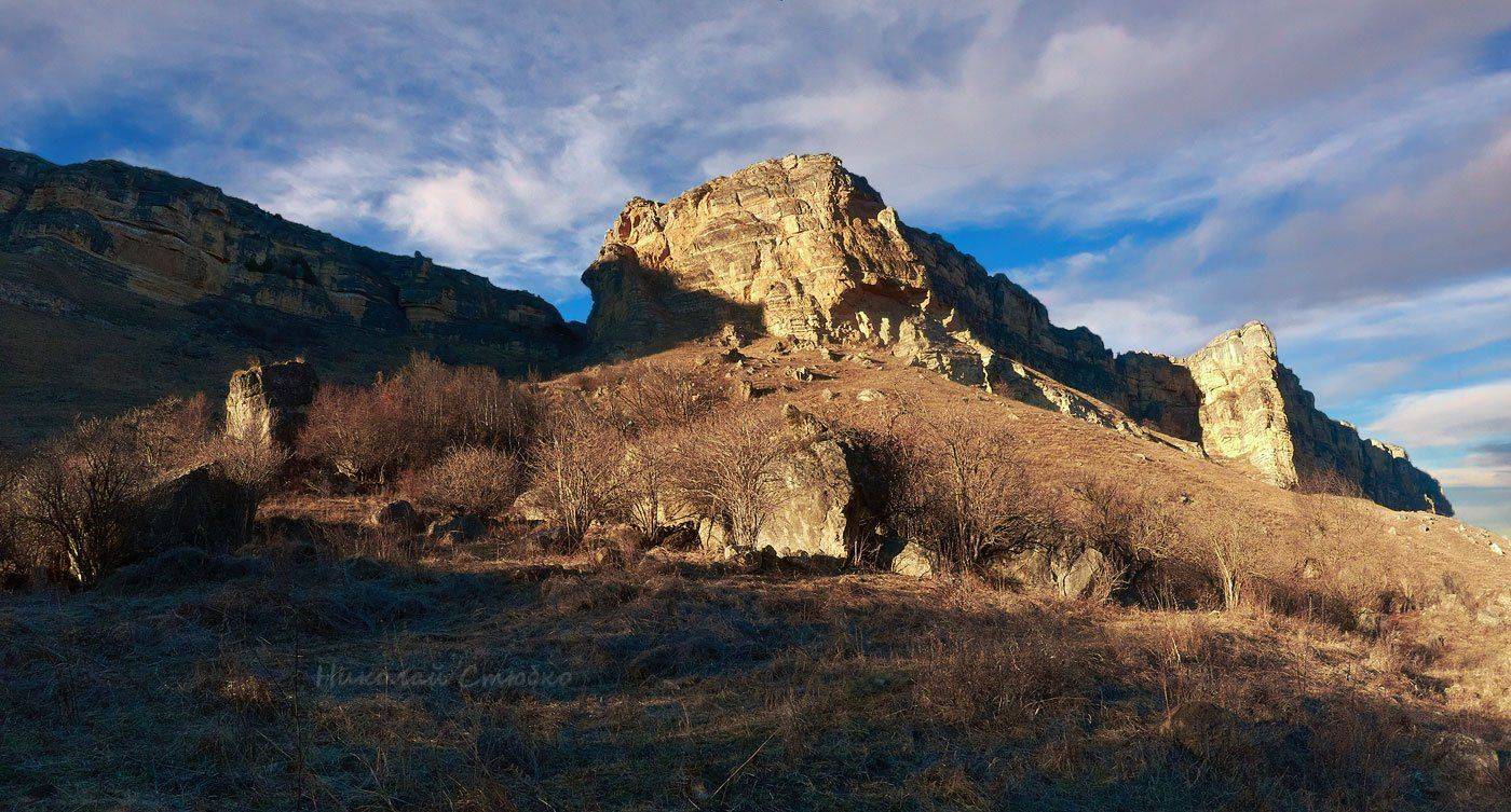 , Николай Стюбко