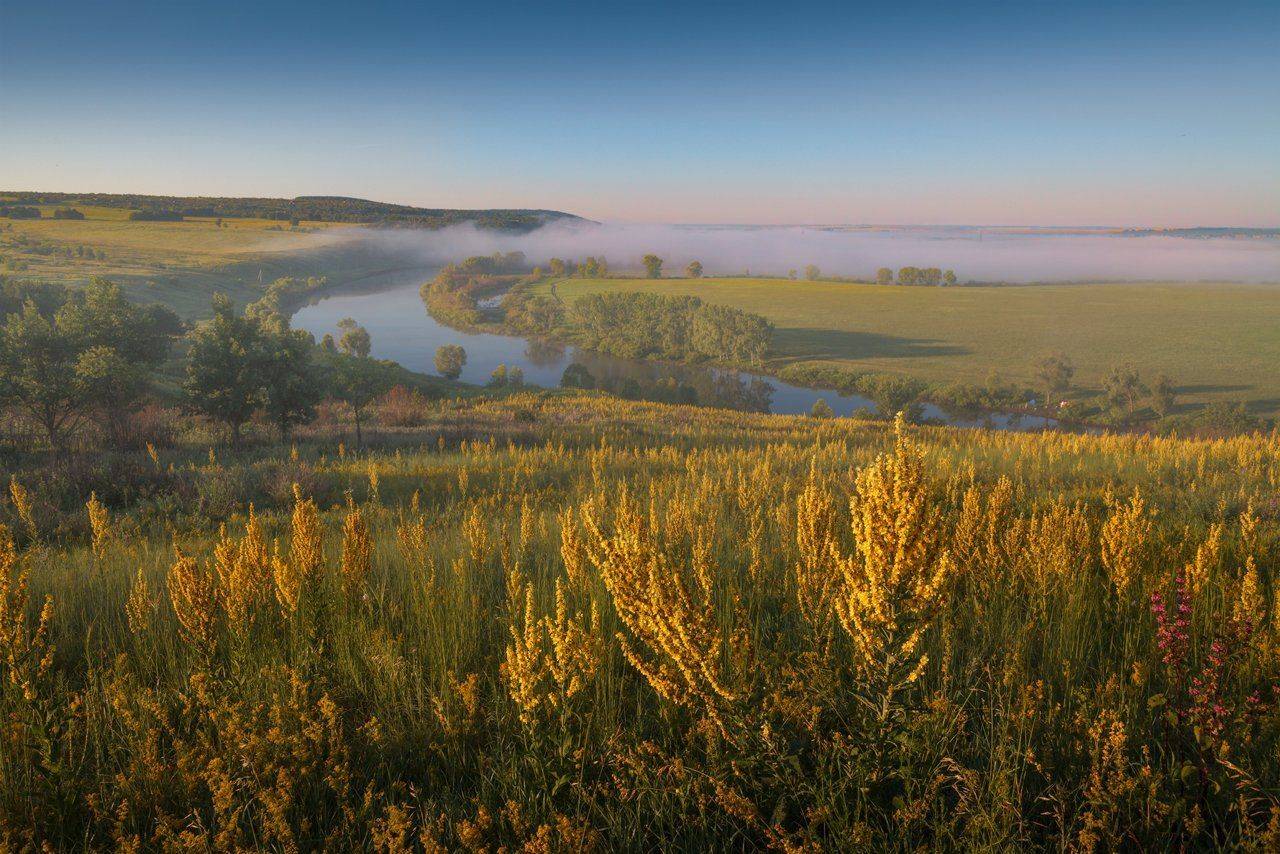 , Марат Кучкаев