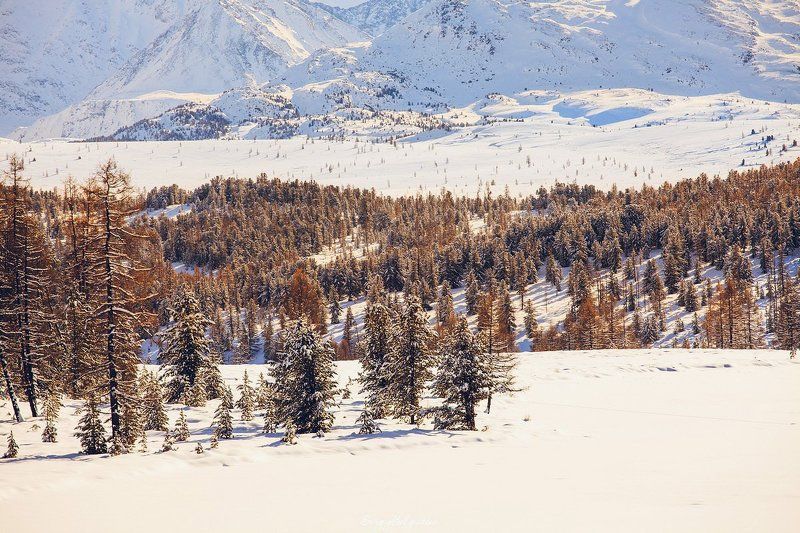 озеро, Киделю, Республика, Алтай, Улаганский, район, перевал, ноябрь, зима, снег Киделю фото превью