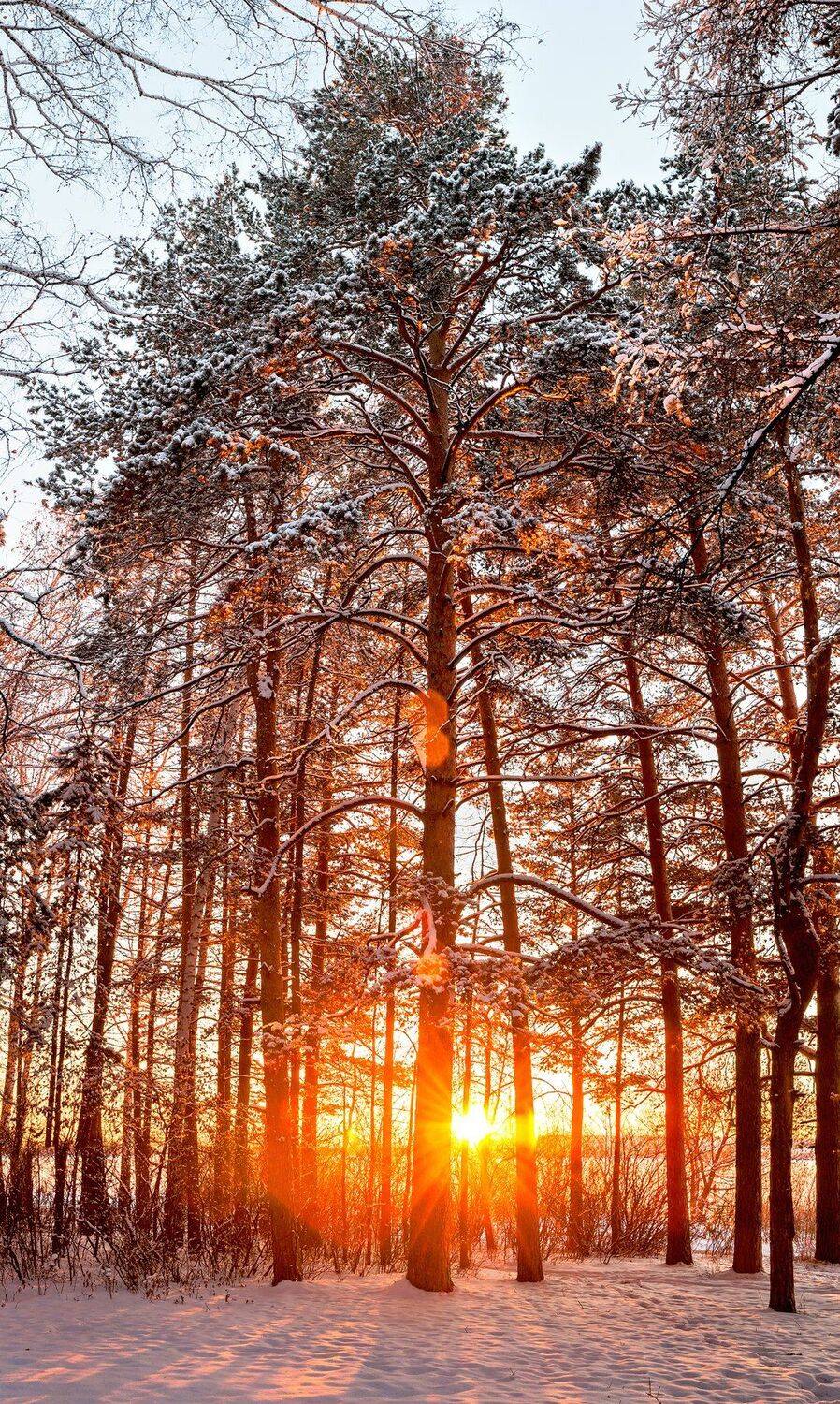 закат, Олег Богданов