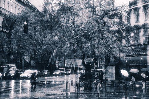 Rainy mood