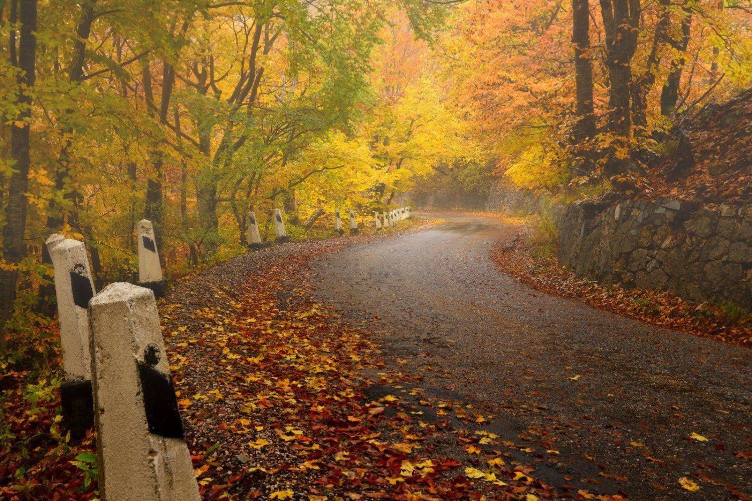 , Максим Евдокимов ( www.wildphotorus.ru )