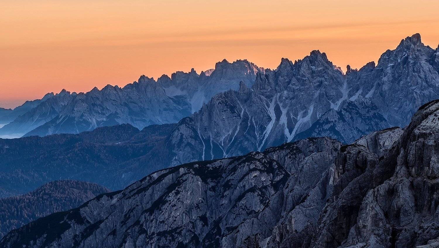 , Игорь Дубровский