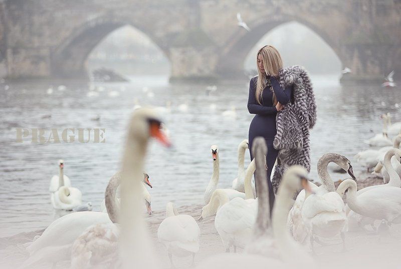 Prague фото превью