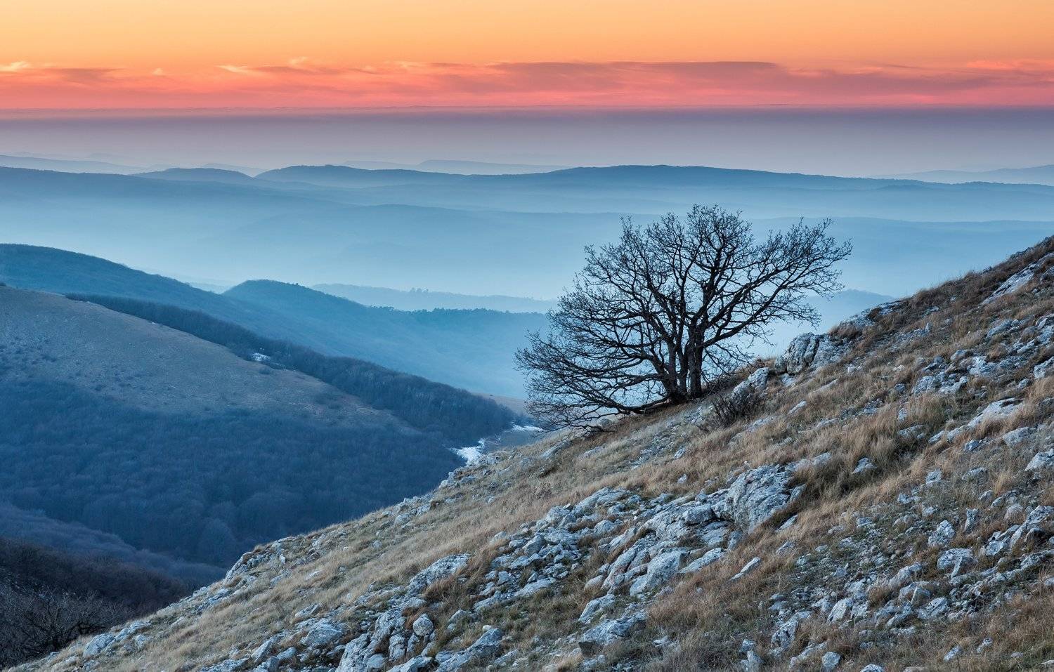 , Станислав Савицкий